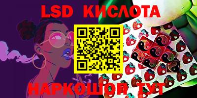 дмт Будённовск
