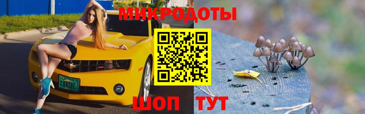Галлюциногенные грибы мицелий  Вход с VPN  Сердобск 